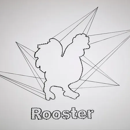 Rooster Atina